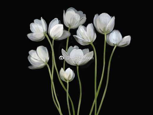 近期练习（个人主页-ZMjk0OTQyNDA=） - 商业插画 - 站酷设计师moon101原创素材 - 站酷ZCOOL