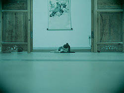 悟·空（个人主页-ZMjA4NjY0NA==） - 宠物摄影 - 站酷设计师言不甩原创素材 - 站酷ZCOOL