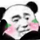 凯文皮尔斯的头像