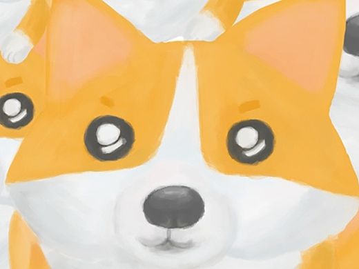柯基