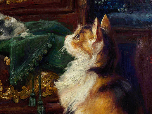 板绘画油画 小猫咪~（个人主页-ZNjY0NDQ5MzY=） - 绘画 - 站酷设计师花影落笔尖原创素材 - 站酷ZCOOL