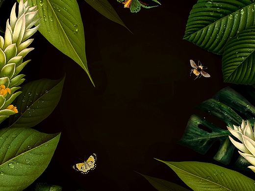 iphone8概念机壁纸