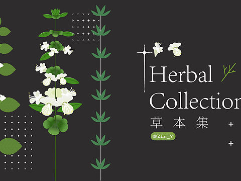草本植物·草花系列