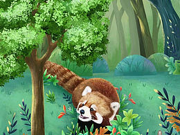 《小熊猫的期望》