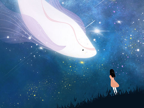 星空飞鱼