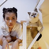 肥猫炖田七的头像