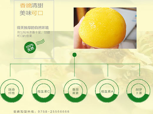 黄桃宣传页（个人主页-ZMjEwNTIzMDQ=） - 宣传物料 - 站酷设计师William2017原创素材 - 站酷ZCOOL