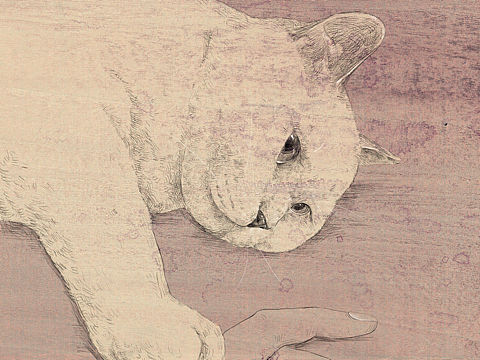 ネコスケッチ(个人主页-ZNDY5MzIzMTI=) - 绘画 - 站酷设计师海鸽鸽原创素材 - 站酷ZCOOL
