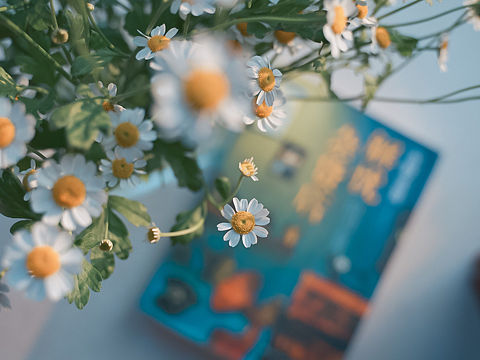 春天（个人主页-ZNDM2MzcyNTI=） - 风光摄影 - 站酷设计师丶荧光乌贼原创素材 - 站酷ZCOOL