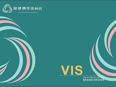 青联vi