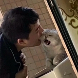 十春的头像