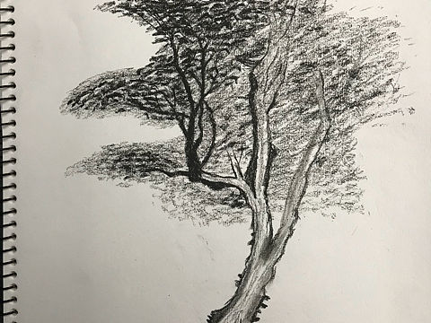 素描（个人主页-ZMzA2NTIxMTY=） - 绘画 - 站酷设计师榴莲视觉设计原创素材 - 站酷ZCOOL