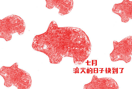 己亥猪年