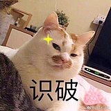 盲僧MSENGL的头像
