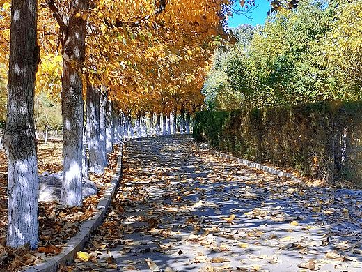 校園生活（個(gè)人主頁(yè)-ZNDk2NDYzODg=） - 風(fēng)光攝影 - 站酷設(shè)計(jì)師Z08042282原創(chuàng)素材 - 站酷ZCOOL