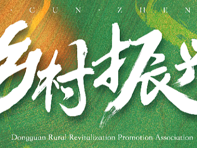平面设计 | 东莞市乡村振兴促进会公众号banner