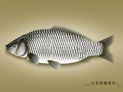 手绘（个人主页-ZMjczMzg5Ng==） - 创作习作 - 站酷设计师中国制造小艺艺原创素材 - 站酷ZCOOL