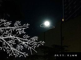 摄影《给月亮洗个澡》