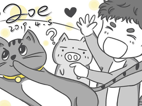 每日一画（个人主页-ZMzQ4Njg4MjQ=） - 创作习作 - 站酷设计师马达猪madpiggy原创素材 - 站酷ZCOOL