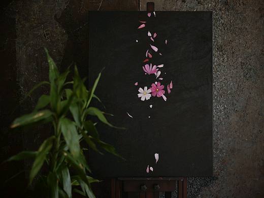 【绘画】格桑花系列之二