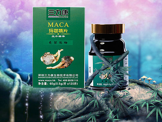 玛咖海报食品海报