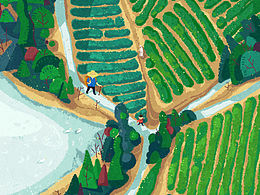茶 包装