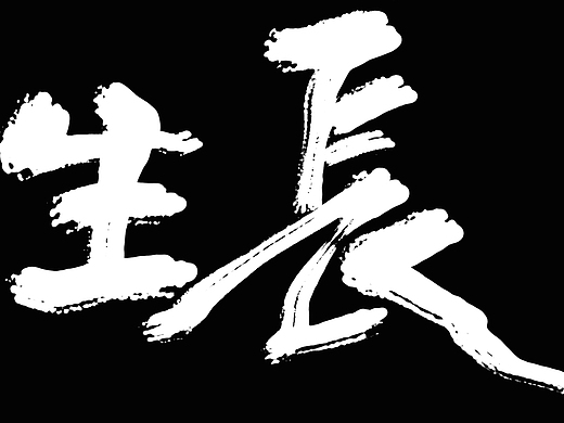 不负春光 野蛮生长