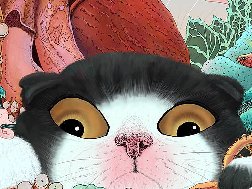 《猫与海》