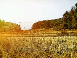 外婆家的小物景