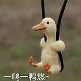 雪穗sui的头像