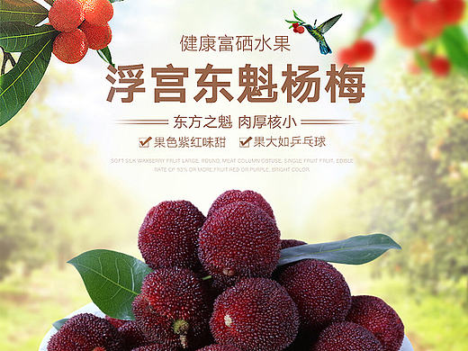 [水果详情]-杨梅水果宝贝详情 电商/生鲜/网页设计