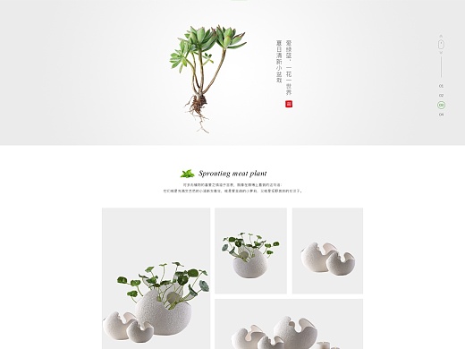 网页设计，萌肉洛植物网页