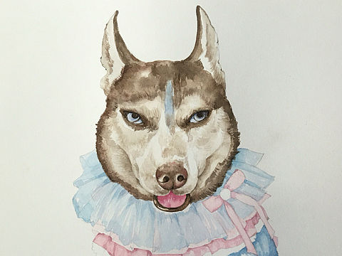 充电器：抖音上的网红狗子！