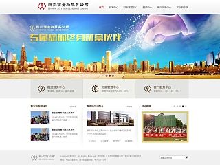 金融公司首页(个人主页-ZMzg2OTIxNg==) - 企业官网 - 站酷设计师静默_柯原创素材 - 站酷ZCOOL