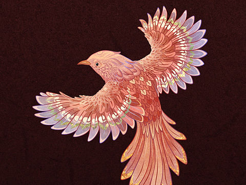 「鳥」和「魚」