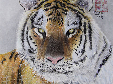 《虎》