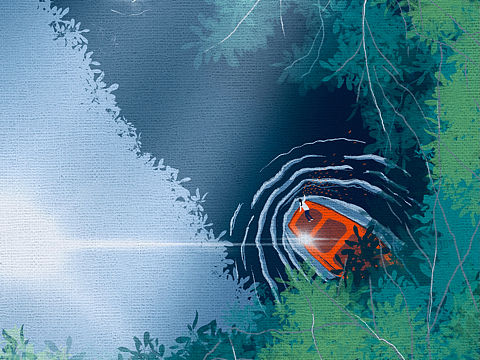 随叶漂流