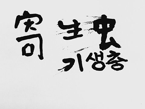 日常手写字整理。