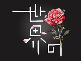 微信头像