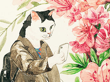 杜鹃花开惹人爱