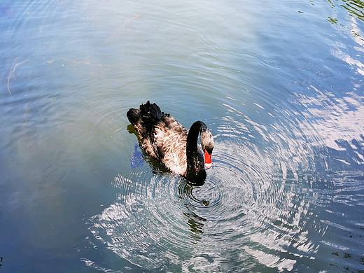 人间仙境白云山,名不虚传