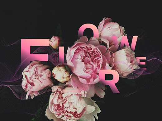 The flower age—花朵时代