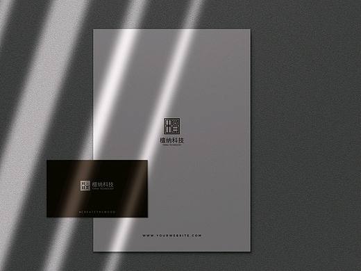 品牌LOGO设计：檀纳科技