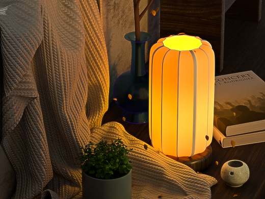 《秋日的暖灯》