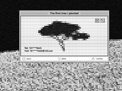 【2020-2021】视觉设计作品集｜荒野