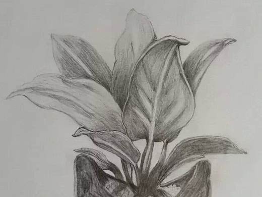 素描