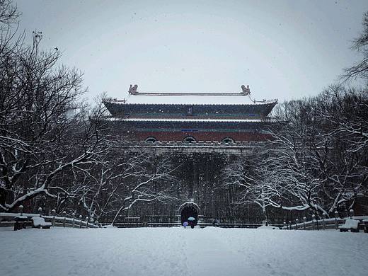 南京的雪（个人主页-ZMzE1MDcyMDQ=） - 人文/纪实摄影 - 站酷设计师摄影师阿正原创素材 - 站酷ZCOOL