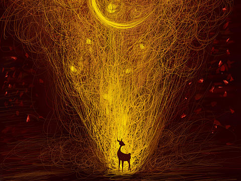 无序的人生,但有光