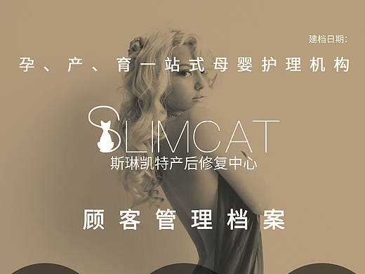 斯琳凯特封面以及三折页（个人主页-ZMjAxMDY0MzY=） - 宣传物料 - 站酷设计师张66原创素材 - 站酷ZCOOL