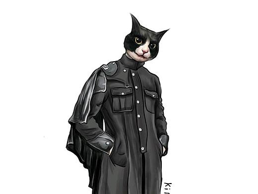 猫咪改编